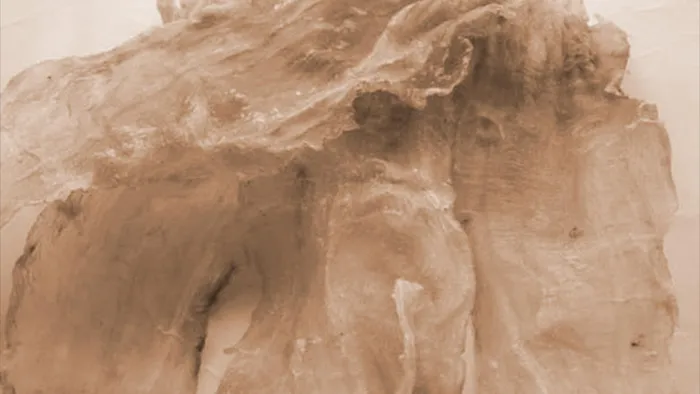 Cá sủ vàng hiện rất quý hiếm, được cả thế giới săn lùng ráo riết. Loài cá quý hiếm này nổi tiếng với phần bong bóng cá đặc biệt và có giá trị tới hàng tỷ đồng. Ngoài ra, thịt cá cũng rất bổ dưỡng, được ví như nhân sâm.