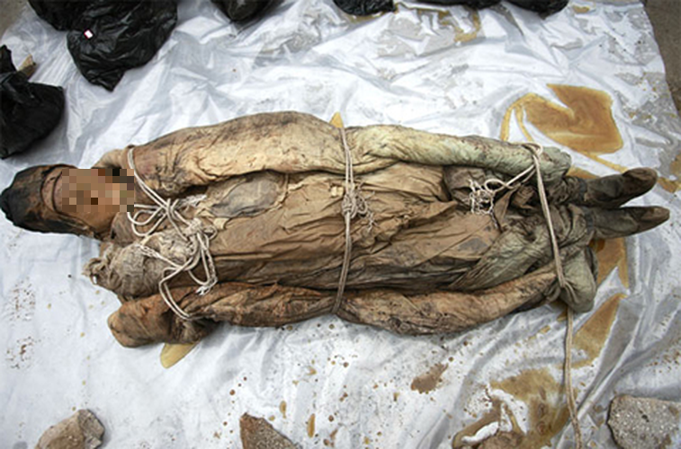 Họ thấy một nhẫn gắn đá quý, một cặp tóc bằng bạc, 20 quần và áo từ thời Minh.