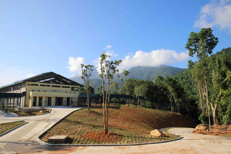 Đoàn cứu hộ di chuyển gần 800km từ xã Phụng Thượng về Vườn quốc gia Bạch Mã. Trên đường, nhân viên chăm sóc kiểm tra và tiếp nước, lá chuối, cho gấu ăn để đảm bảo sức khỏe tốt.