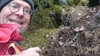 Một người đàn ông tên Thomas Karlsson ở Thụy Điển đã tìm thấy một kho báu quý giá trong khu rừng gần nơi ông sinh sống.