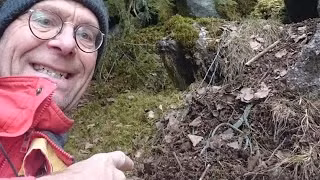 Một người đàn ông tên Thomas Karlsson ở Thụy Điển đã tìm thấy một kho báu quý giá trong khu rừng gần nơi ông sinh sống.