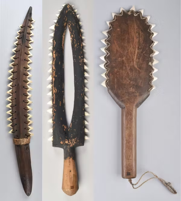 Các nghiên cứu đã chỉ ra rằng những chiếc răng cá mập hổ này được sử dụng để đâm, cắt thịt và cạo thịt, xương và chúng bị hỏng nặng hơn nhiều so với việc cá mập sử dụng hàm răng của mình trong tự nhiên. Điều này cho thấy các hành vi đâm, cắt và cạo thực hiện bởi con người.