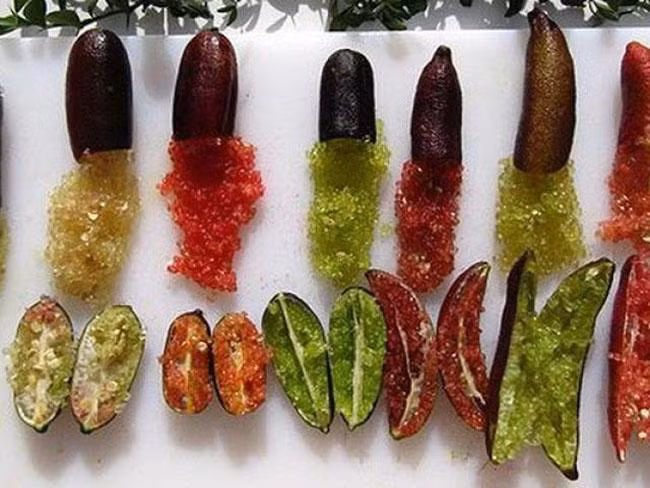 Giá chanh ngón tay có thể lên tới hàng triệu đồng 1kg, tương đương với nửa chỉ vàng.