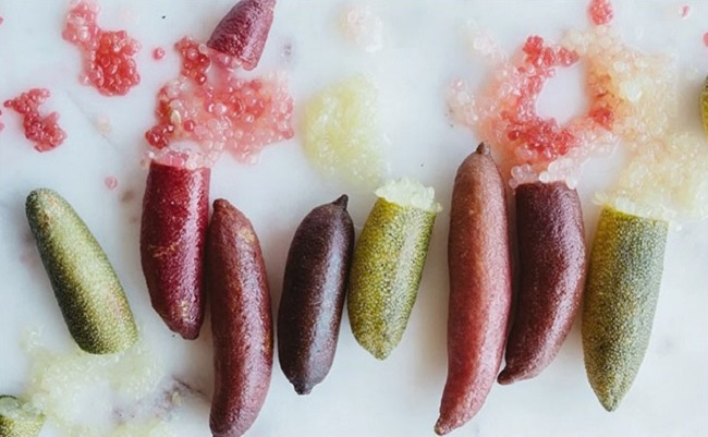 Tuy số lượng quả này có hạn và giá đắt đỏ, nhưng đã được trồng thành công tại một số tỉnh thành của Việt Nam như Bến Tre, Đà Lạt.