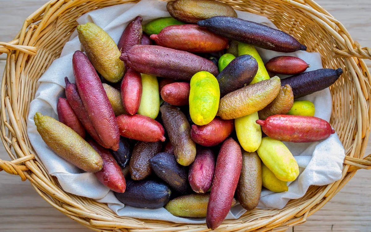 Chanh ngón tay, có tên khoa học là Citrus australasica, là một loại quả quý hiếm và đắt đỏ, cũng được gọi là finger lime hoặc chanh trứng cá hồi.
