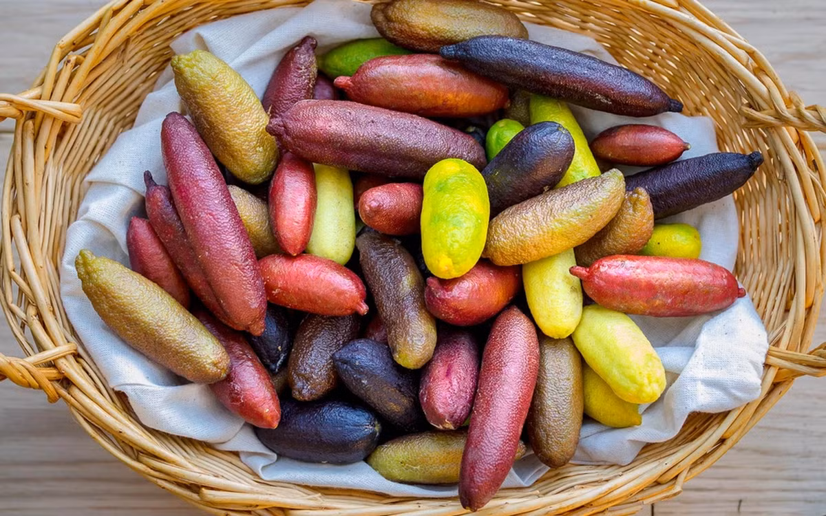 Chanh ngón tay, có tên khoa học là Citrus australasica, là một loại quả quý hiếm và đắt đỏ, cũng được gọi là finger lime hoặc chanh trứng cá hồi.