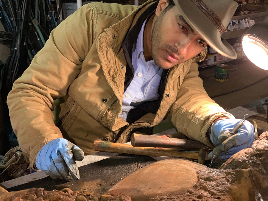 Có nguyên nhân đặc biệt đã được đề xuất rằng họ có thể đã bị nhiễm mầm bệnh nấm Aspergillus khi tiến hành mở lăng mộ.