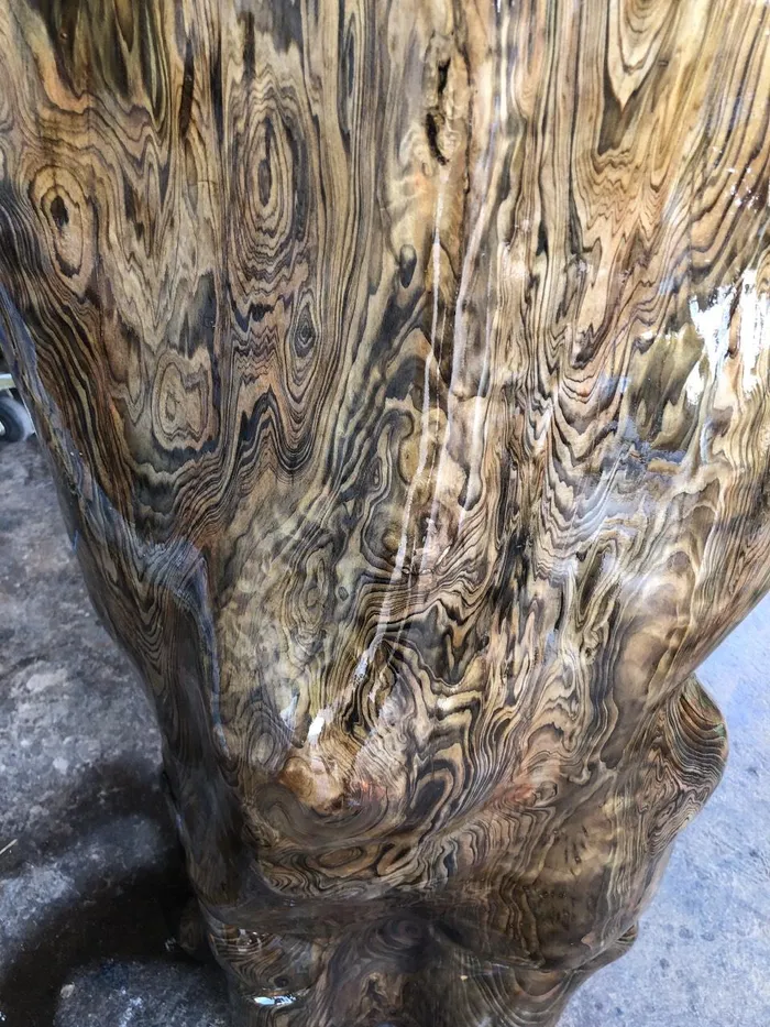 Loại gỗ này tồn tại dưới dạng thủy tùng xanh (nằm sâu trong đất hoặc dưới lòng hồ thủy điện) và thủy tùng đỏ (sống trong môi trường khô ráo).