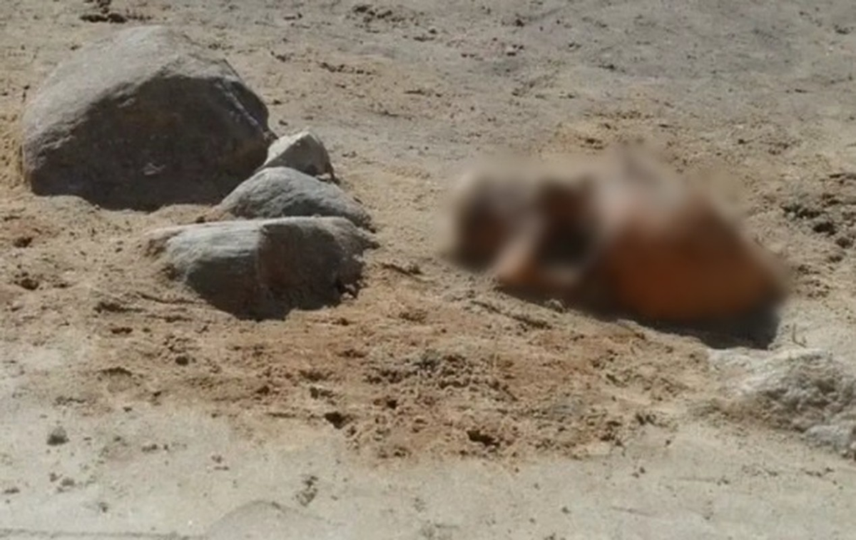 Dariusz Poliński, một nhà khảo cổ học, cho biết chiếc ổ khóa trên bộ xương đứa trẻ cho thấy rằng mọi người sợ đứa trẻ này sau khi nó chết.