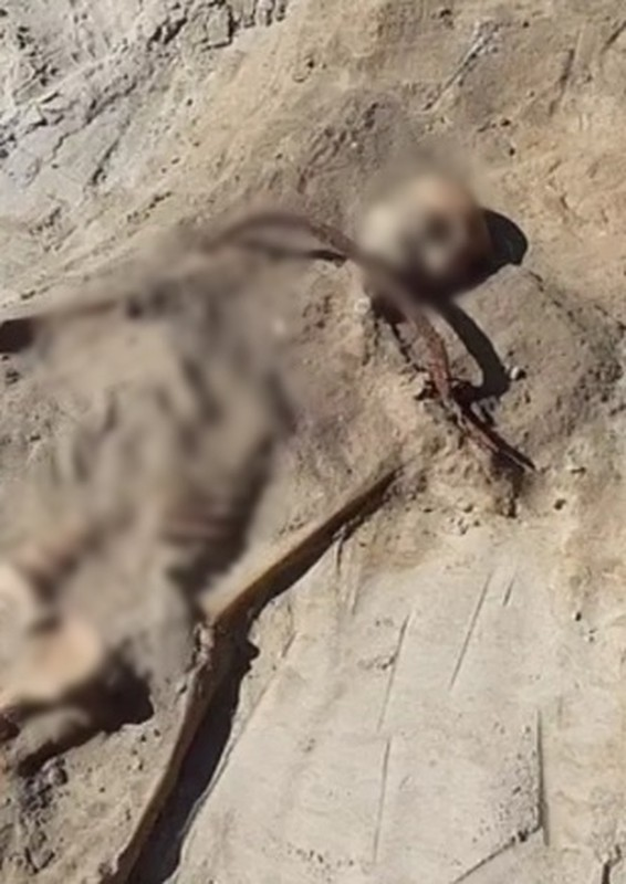 Bên cạnh bộ xương này, còn tìm thấy bộ xương của một phụ nữ "ma cà rồng" chôn cùng lúc với một chiếc liềm đặt trên cổ và ổ khóa tương tự ở chân.