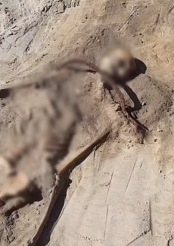 Bên cạnh bộ xương này, còn tìm thấy bộ xương của một phụ nữ "ma cà rồng" chôn cùng lúc với một chiếc liềm đặt trên cổ và ổ khóa tương tự ở chân.