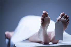 2. Vợ của một giáo sư vật lý mất vì căn bệnh máu trắng. Sau mất vợ, ông sống cô đơn và buồn rầu, nhưng một ngày ông trở nên phấn chấn và tràn đầy sức sống. (Ảnh minh họa)