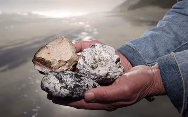 Ông Li đã liên hệ với Đại học Quốc gia Kaohsiung để kiểm tra và xác nhận. Sau khi kiểm tra bằng phương pháp cộng hưởng từ hạt nhân (NMR), các nhà khoa học xác nhận rằng đó thực sự là long diên hương, một loại báu vật quý hiếm.