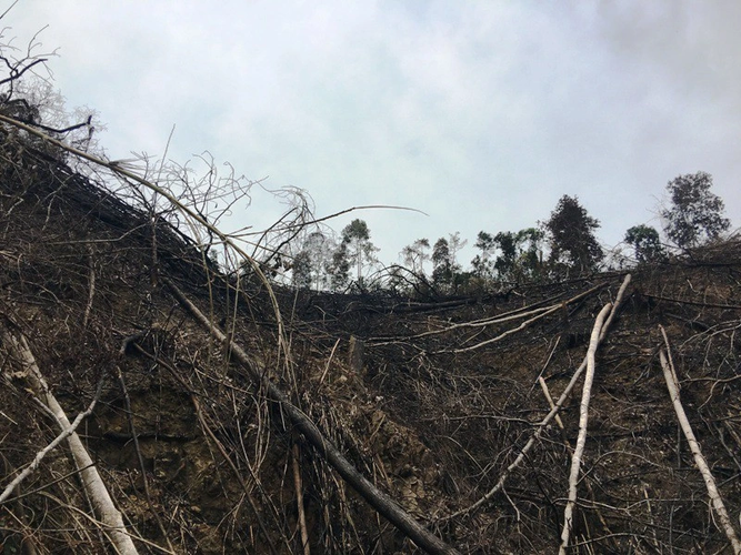 Dự báo này cho thấy rất ít lãnh thổ trên hành tinh có thể hỗ trợ sự sống của động vật có vú sau khi xảy ra biến đổi này và có thể dẫn đến tuyệt chủng của nhiều loài.