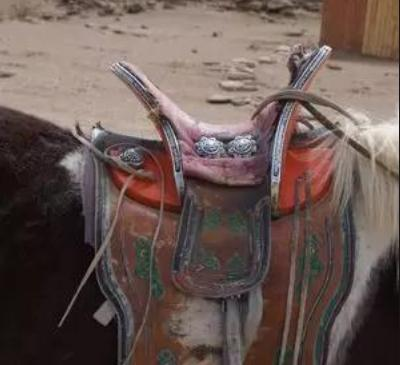 Tìm thấy dây cương trong nhiều ngôi mộ ở Yanghai chứng tỏ việc cưỡi ngựa đã trở nên phổ biến và yên ngựa này được tạo ra để cung cấp sự thoải mái và an toàn cho những người cưỡi ngựa.