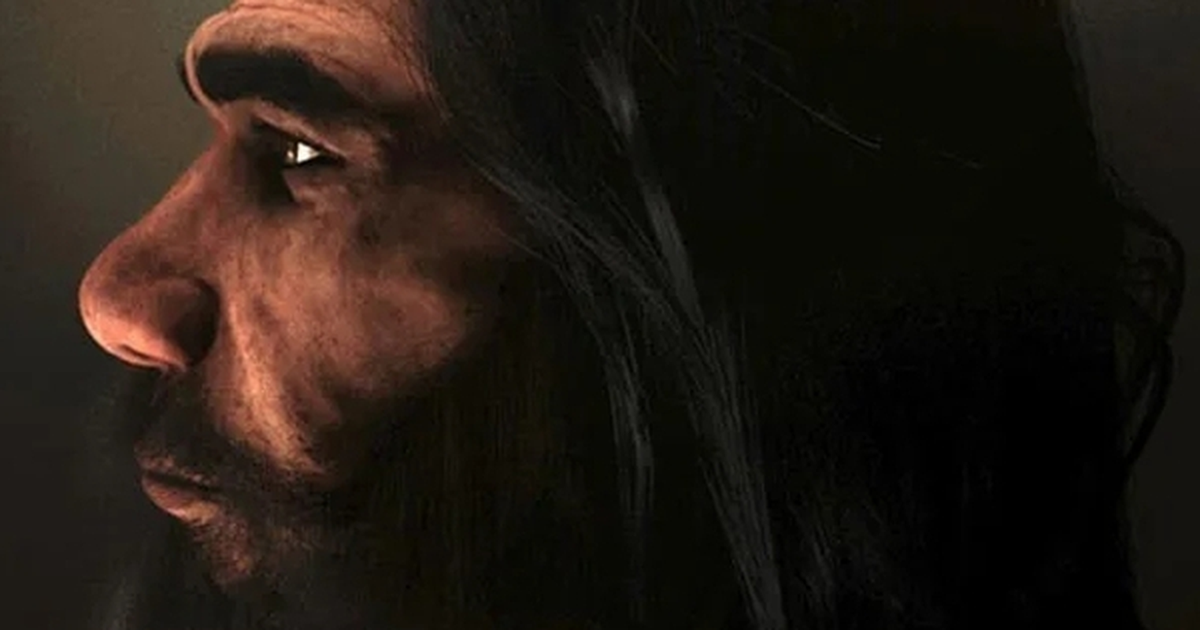 Đặc điểm chính của Homo heidelbergensis bao gồm vầng trán dốc đặc trưng, lông mày rậm rạp và nét cứng rắn trên khuôn mặt, khác biệt với người Neanderthals và Homo sapiens.