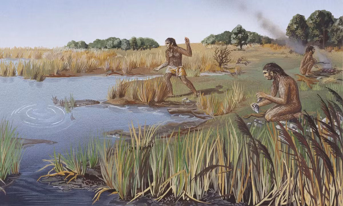 Homo heidelbergensis là một trong những loài người bí ẩn nhất thuộc chi Homo và được cho là loài đầu tiên của chi người.