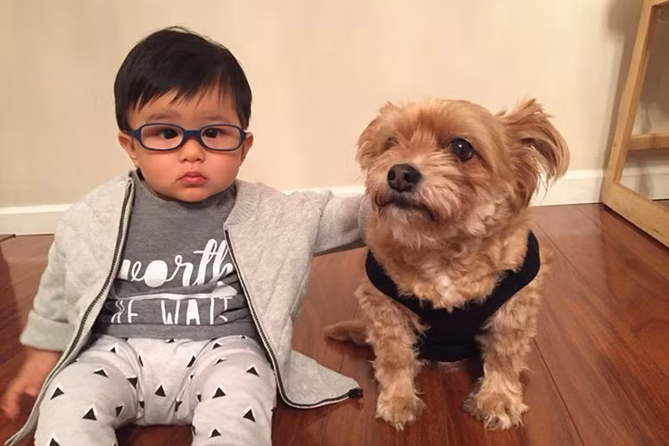 Con trai Đan Trường vui đùa cùng chú cún cưng.