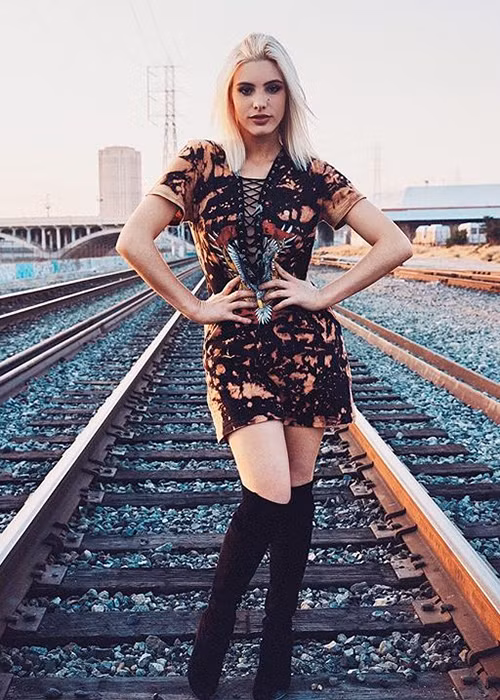 Tháng 10/2015, Lele từng được đến Nhà Trắng làm các video trên Vine để ủng hộ chiến dịch giúp đỡ trẻ em khuyết tật học đại học của cựu Đệ nhất phu nhân Michelle Obama.