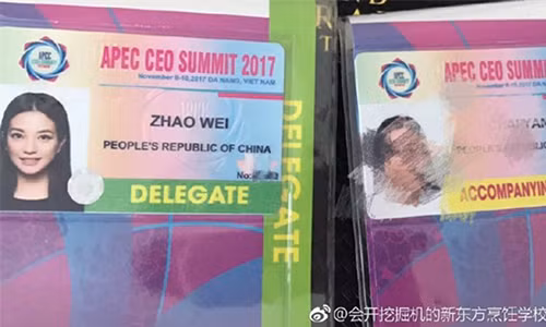 Dien vien Trieu Vy den Da Nang du APEC 2017?-Hinh-3