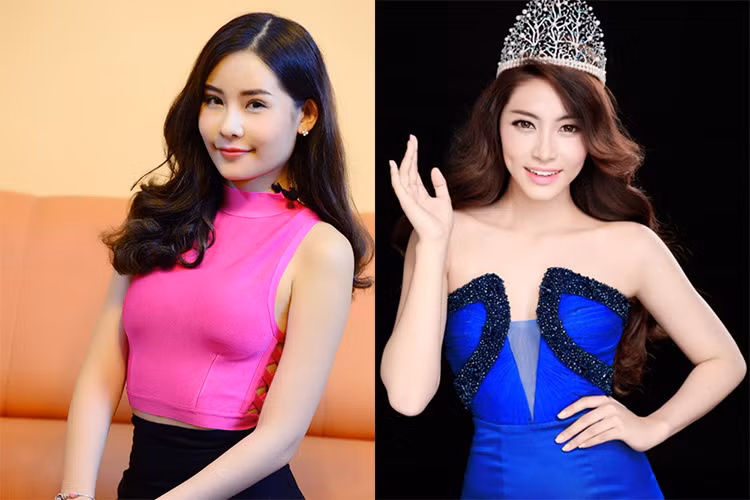 Ngay khi vừa đoạt vương miện Hoa hậu Đại dương 2014, Đặng Thu Thảo đối diện với luồng ý kiến chê xấu nhưng không bị cộng đồng mạng chê bai đến mức như của trường hợp của Ngân Anh. Ảnh: Zing, Người lao động