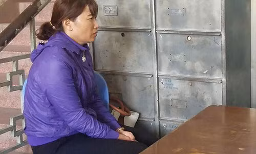 Bà Phạm Mỹ Linh, chủ cơ sở Mầm Xanh bị bắt tạm giam.