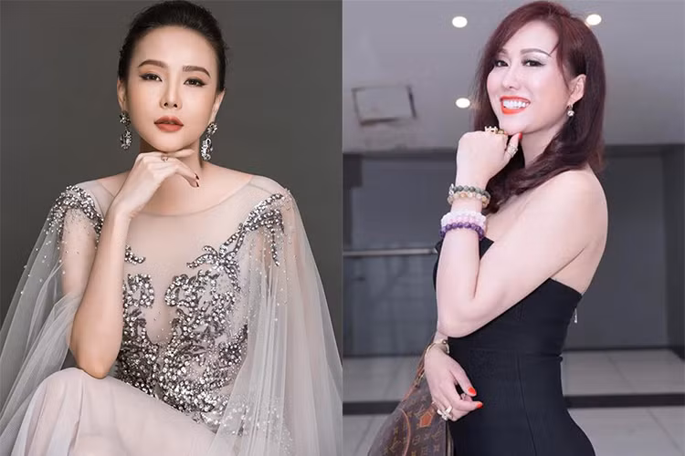 Sắp tới, Phi Thanh Vân và Dương Yến Ngọc đều dự thi hoa hậu. Với Phi Thanh Vân, cô tham gia Hoa hậu Doanh nhân Thế giới người Việt tại Mỹ còn Dương Yến Ngọc dự thi Hoa hậu Quý bà Hòa bình Thế giới 2017. Ảnh: FBNV