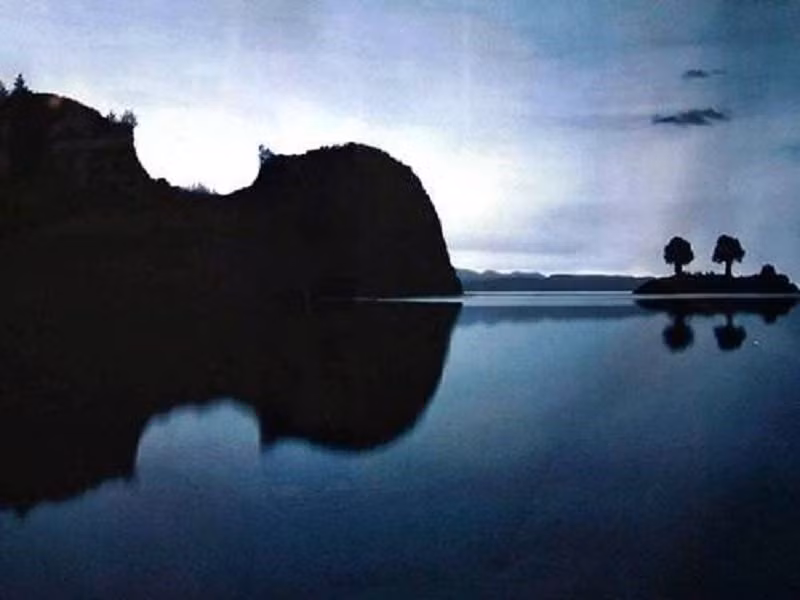 Hình ảnh cây vĩ cầm trong thiên nhiên được tạo ra từ phản chiếu đẹp hoàn hảo đến khó tin khiến nhiều người hoài nghi về độ trung thực của bức ảnh. (Nguồn Lolwot)