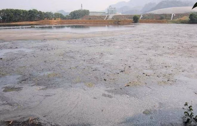Vu o nhiem, ca chet tren song Buoi: “Thu pham” nhan loi