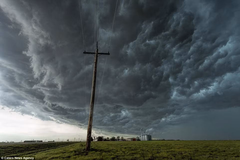 James Smart là một nhiếp ảnh gia tự học, anh không được đào tạo chuyên nghiệp nhưng những bức ảnh của James khiến người xem bị lôi cuốn và không thể rời mắt. Nguồn: Daily Mail