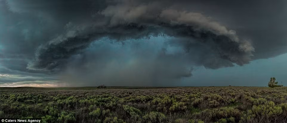 Thông thường James sẽ cầm máy ảnh bằng tay và tác nghiệp. Cùng với anh trai của mình, James đã tác nghiệp trên khắp nước Mỹ, ở các tiểu bang như Colorado, Texas và Nam Dakota và tất nhiên cả Australia, quê hương của anh. Nguồn: Daily Mail