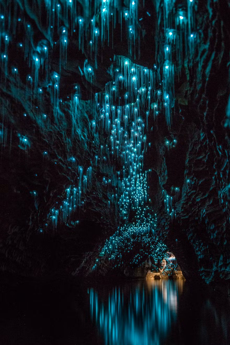 Hang động đom đóm thực chất là hang động đá vôi, chủ nhân của khu vực này chính là một trong những loài côn trùng kỳ diệu nhất trên thế giới, những con đom đóm. Trong điều kiện thiếu sáng, những con đom đóm phát ra những ánh sáng lung linh, kỳ ảo trong vòm động và tạo ra một môi trường siêu thực. (Nguồn Bored Panda)