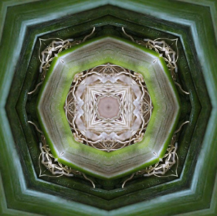 Bạn có thể tin được tác phẩm này được tạo thành từ hành lá nguyên rễ? Nguồn: Bored Panda