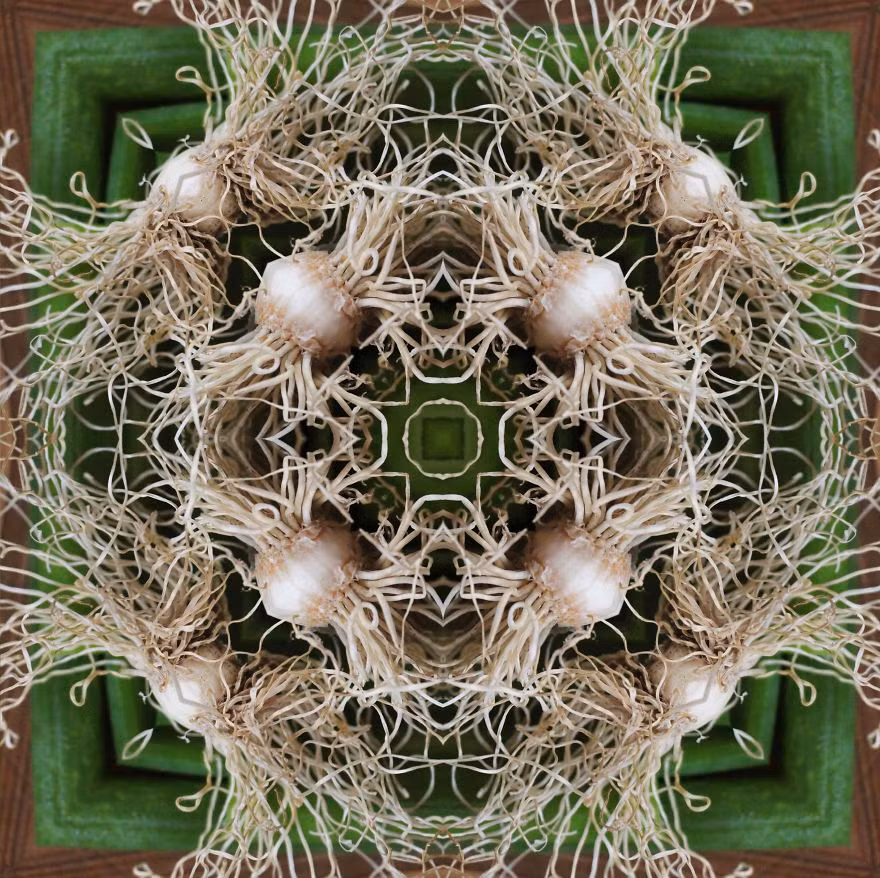 Karala cho biết cô rất ngạc nhiên với những hình học mà mẹ thiên nhiên đã ban tặng cho muôn loài thực vật. Khi phát hiện ra điều thú vị này, cô dành nhiều giờ mỗi tuần để kiểm tra, chụp ảnh, chỉnh sửa và cuối cùng là chế biến những loại rau củ quả đầy màu sắc lại ngon miệng này. Nguồn: Bored Panda