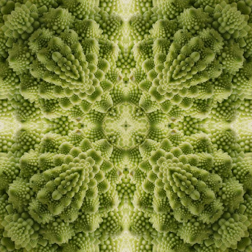 Bông cải xanh Romanesco là một trong những loài thực vật kỳ lạ nhất thế giới và cũng là những thực vật đẹp nhất. Nguồn: Bored Panda