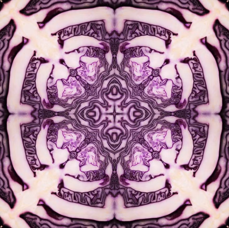 Bắp cải tím là một trong những loại thực vật sở hữu hoa văn đẹp mê mẩn nhất. Nguồn: Bored Panda