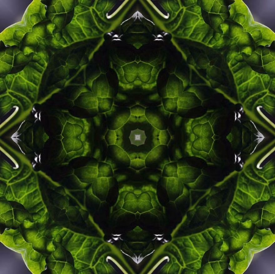 Lá rau tưởng như tầm thường không có gì nổi bật qua bàn tay, khối óc của nữ nghệ sĩ Karala trở nên đẹp hút hồn. Nguồn: Bored Panda