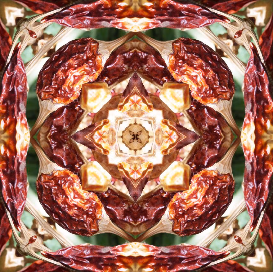 Ngay cả khi đã khô héo, thực vật vẫn tiềm tàng một vẻ đẹp khó cưỡng như thế này. Nguồn: Bored Panda