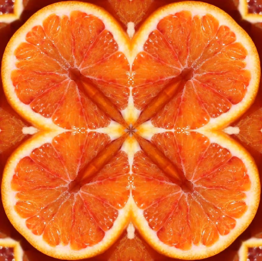 Với con mắt của nghệ sĩ, Karala đã giúp mọi người biết đến vẻ đẹp khác lạ của thực vật. Nguồn: Bored Panda