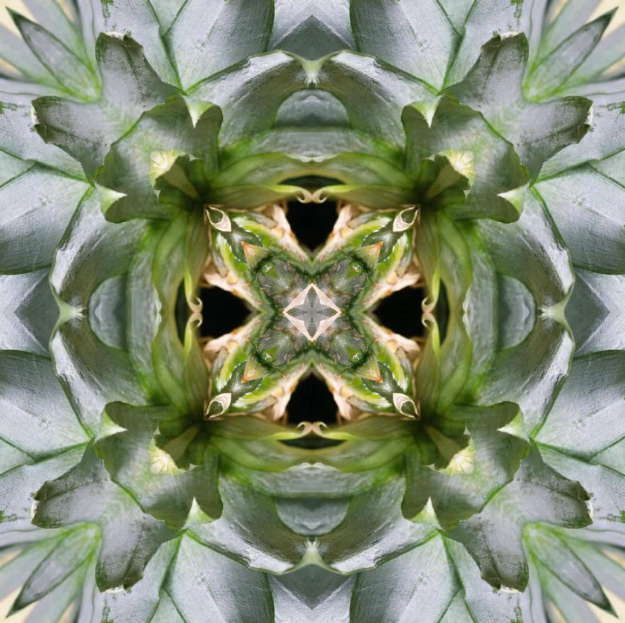 Thêm một hình ảnh tuyệt mỹ từ quả dứa. Nguồn: Bored Panda