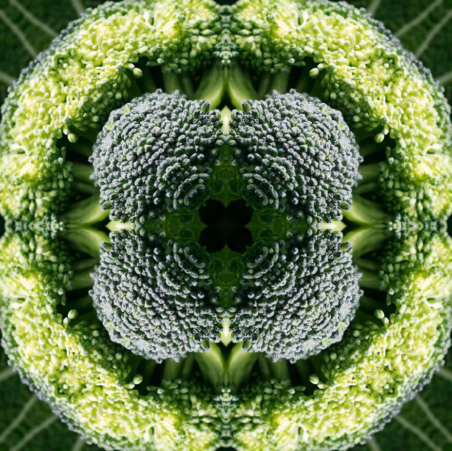 Karala Wallace, một nữ nghệ sĩ đã khiến mọi người sửng sốt với loạt ảnh đối xứng đẹp hoàn hảo trong thế giới thực vật chỉ với những thủ thuật nhiếp ảnh đơn giản. Nguồn: Bored Panda