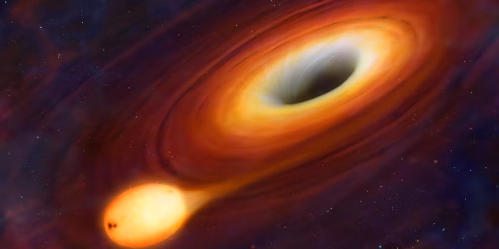 Điều gì sẽ xảy ra nếu bạn rơi vào một lỗ đen? Theo nhà vật lý thiên văn Sir Martin Rees, cơ thể bạn sẽ bị kéo dài ra không ngừng. Cuối cùng, đến vô tận, cơ thể của bạn sẽ bị nghiền nát thành các hạt hạ nguyên tử. Nguồn: Lolwot