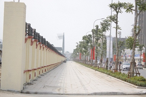 Hệ thống cây xanh bên đường cao tới 6, 7 mét đã xanh tốt và không bị chết cây nào.