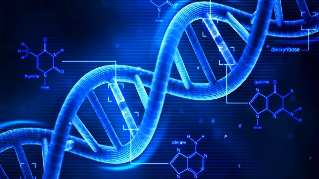 DNA có khả năng lưu trữ một lượng cực lớn dữ liệu. Tập đoàn Microsoft gần đây đã bắt đầu sử dụng DNA để lưu trữ thông tin và họ tin rằng một gram đơn của DNA có khả năng lưu trữ lên tới 1 tỷ terabyte dữ liệu, hơn nữa, DNA có tuổi thọ hàng ngàn năm chứ không phải chỉ một vài chục năm như các thiết bị lưu trữ dữ liệu khác. Nguồn: Lolwot