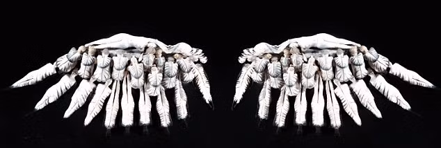 Nữ nghệ sĩ cảm thấy rất thích thú với hướng đi mới này của mình và cô cũng rất hạnh phúc khi thưởng thức phản ứng của người mẫu khi tác phẩm hoàn thành.