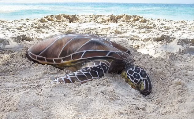 Tuy nhiên, khi nhìn kỹ hơn, bạn sẽ có cảm giác kinh ngạc khi thực tế, những hình này cơ thể người khỏa thân biến thành những động vật khác nhau nhờ nghệ thuật body painting đỉnh cao. (Nguồn Dailymail)