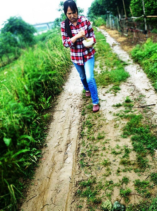 Người dân rất bất đắc dĩ mới phải đi trên con đường lầy lội bị đoàn quân giun đất chiếm đóng tạm thời. (Nguồn Sina)