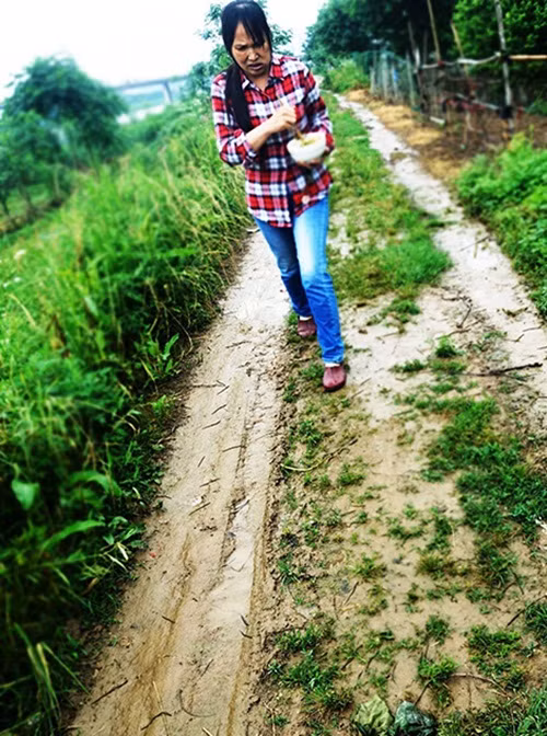 Người dân rất bất đắc dĩ mới phải đi trên con đường lầy lội bị đoàn quân giun đất chiếm đóng tạm thời. (Nguồn Sina)