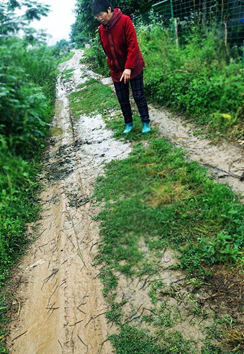 Một người dân bạo dạn đang nói qua về hiện tượng giun đất bò đầy lòng đường cho các phóng viên. (Nguồn Sina)