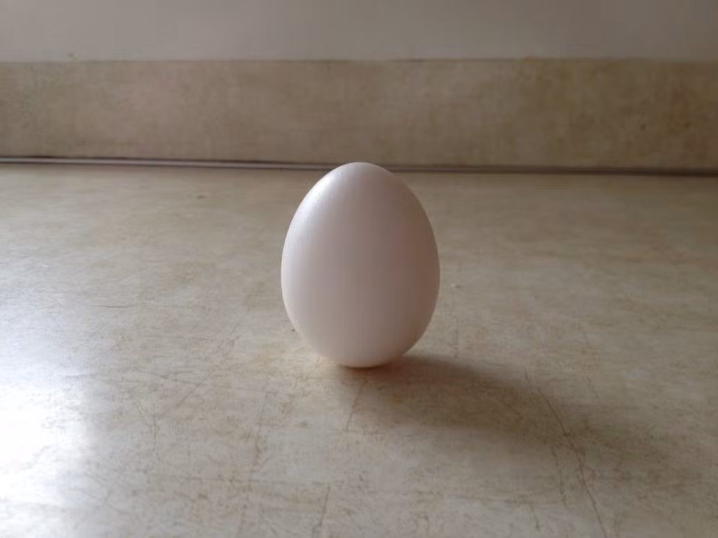 Người ta cho rằng một quả trứng chỉ có thể dựng đứng được vào thời điểm xuân phân. Điều này sai hoàn toàn, chỉ với một chút kỹ năng thủ công, bạn hoàn toàn có thể làm điều đó. Nguồn: Lolwot